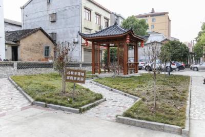 【议提案追踪】道路洁净民心畅