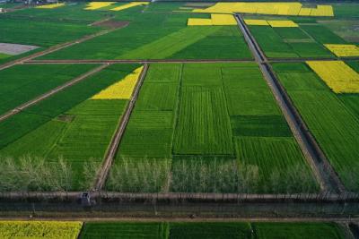 【民生实事聚焦】高标农田渠成网