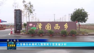 【榜上有名】八宝镇白水淌村入围荆州十佳美丽乡村（20230208）