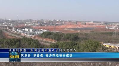 汪卫到临港工业园区调研重点项目推进情况（20230306）