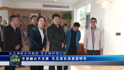 汪卫调研乡村旅游、生态保护等工作（20230308）