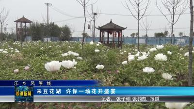 【乐乡风景线】来豆花湖  许你一场花开盛宴（20230405）