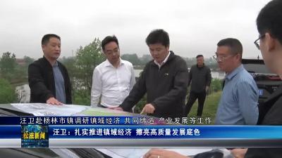 汪卫赴杨林市镇调研镇域经济 共同缔造 产业发展等工作（20230419）