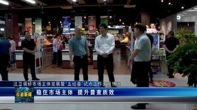 汪卫调研市场主体发展暨“五经普”试点工作开展情况（20230529）