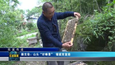 【致富有道】颜克俭：  山头“好蜂景” 铺就致富路（20230705）