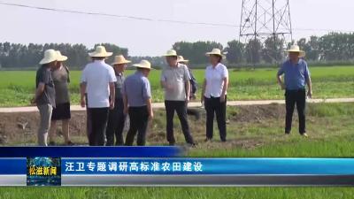汪卫专题调研高标准农田建设（20230704）