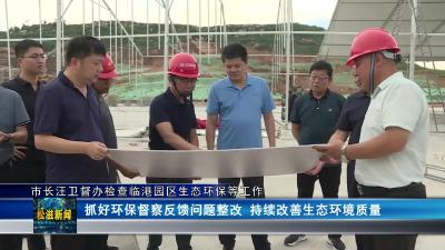 市长汪卫督办检查临港园区生态环保等工作（20230911）