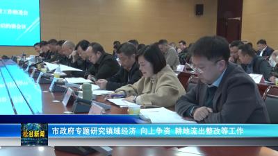 市政府专题研究镇域经济、向上争资、耕地流出整改等工作（20231115）