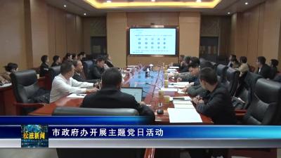 市政府办开展主题党日活动（20231127）