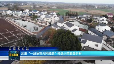 【议提案追踪】运用“一线协商共同缔造”打造示范和美乡村（20231228）