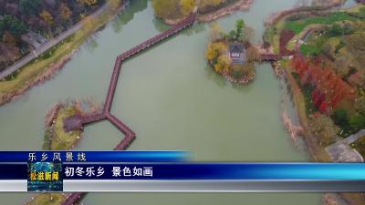 【乐乡风景线】初冬乐乡 景色如画（20231215）