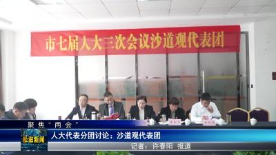 【聚焦“两会”】人大代表分团讨论：沙道观代表团（20240105）