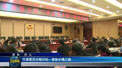 【聚焦“两会”】代表委员分组讨论：政协乡镇三组（20240104）