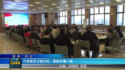 【聚焦“两会”】代表委员分组讨论：政协乡镇一组（20240104）