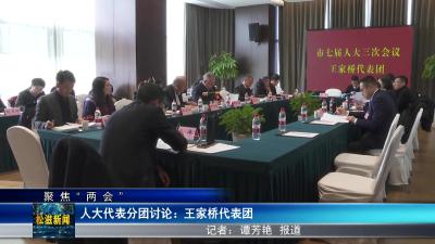 【聚焦“两会”】人大代表分团讨论：王家桥代表团（20240105）