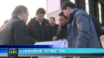 汪卫到洈水镇开展“四下基层”活动（20240123）