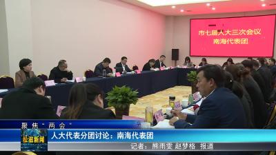 【聚焦“两会”】人大代表分团讨论： 南海代表团（20240105）