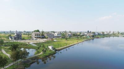 老城镇：擦亮平安底色，守护万家安宁