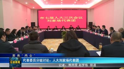 【聚焦“两会”】代表委员分组讨论：人大刘家场代表团（20240104）