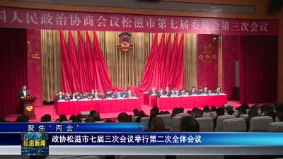 【聚焦“两会”】政协松滋市七届三次会议举行第二次全体会议（20240104）