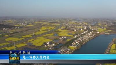 【乐乡风景线】赴一场春天的约会（20240325）