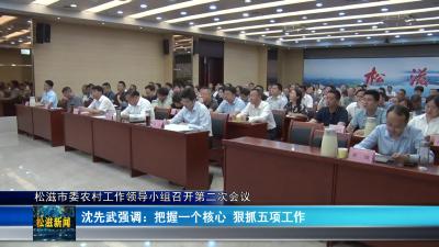 松滋市委农村工作领导小组召开第二次会议（20240429）