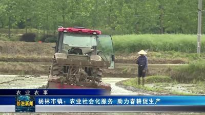【农业农事】杨林市镇：农业社会化服务 助力春耕促生产（20240424）