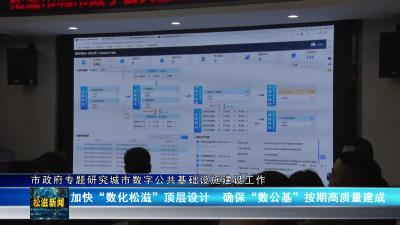 市政府专题研究城市数字公共基础设施建设工作（20240730）