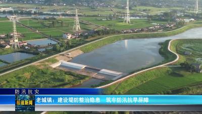 【防汛抗灾】老城镇： 建设堤防整治隐患 筑牢防汛抗旱屏障（20240703）