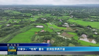 【防汛抗灾】万家乡：“抢雨”蓄水 防洪抗旱两不误（20240703）