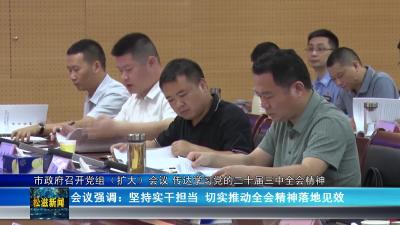 市政府召开党组（扩大）会议 传达学习党的二十届三中全会精神（20240729）