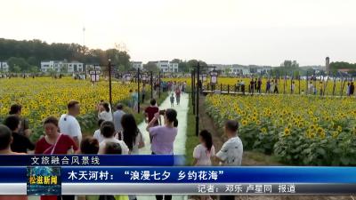 【文旅融合风景线】木天河村：“浪漫七夕 乡约花海”（20240812）