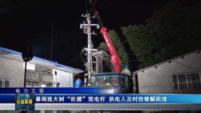 【电力之窗】暴雨致大树“折腰”毁电杆 供电人及时抢修解民忧（20240801）