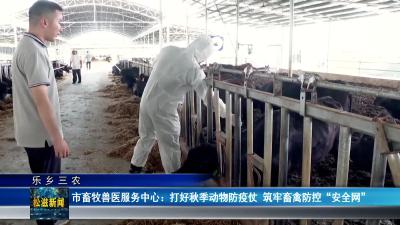 【乐乡三农】市畜牧兽医服务中心： 打好秋季动物防疫仗 筑牢畜禽防控“安全网”（20240929）