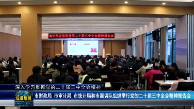 【深入学习贯彻党的二十届三中全会精神】市财政局 市审计局 市统计局和市国调队组织举行党的二十届三中全会精神报告会（20241023）