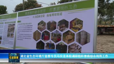 湖北省生态环境厅监察专员冯安龙来松调研秸秆禁烧综合利用工作（20241008）