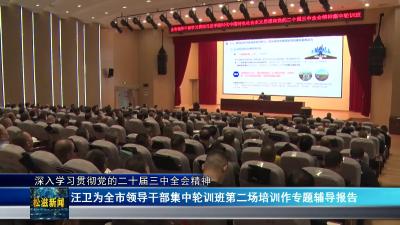 【深入学习贯彻党的二十届三中全会精神】汪卫为全市领导干部集中轮训班第二场培训作专题辅导报告（20241028）