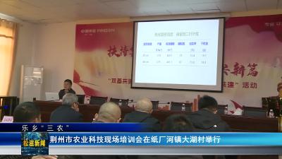 【乐乡“三农”】荆州市农业科技现场培训会在纸厂河镇大湖村举行（20241115）