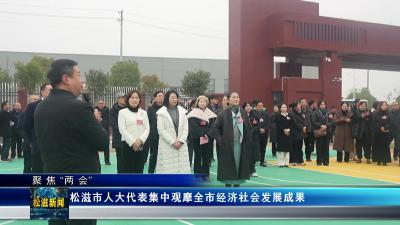 【聚焦“两会”】松滋市人大代表集中观摩全市经济社会发展成果（20241226）