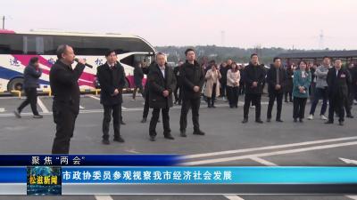 【聚焦“两会”】市政协委员参观视察我市经济社会发展（20241225）