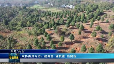 【聚焦“两会”】政协委员专访：建真言 谋良策 出实招（20241224）