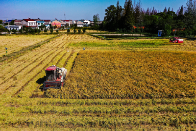 【民生实事聚焦】全市高标准农田面积占比已达74%
