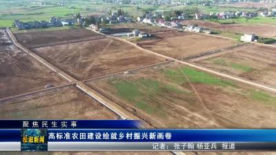 【聚焦民生实事】高标准农田建设绘就乡村振兴新画卷（20241220）