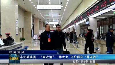 【松滋清风】市纪委监委：“查改治”一体发力  守护群众“养老钱”