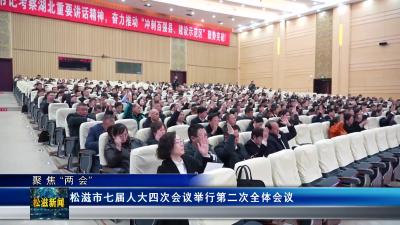 【聚焦“两会”】松滋市七届人大四次会议举行第二次全体会议（20241227）