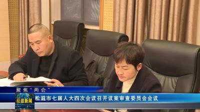 【聚焦“两会”】松滋市七届人大四次会议召开议案审查委员会会议（20241228）