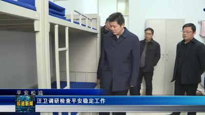 【平安松滋】汪卫调研检查平安稳定工作（20250106）