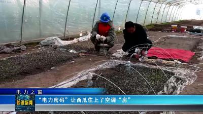 【电力之窗】“电力密码”让西瓜住上了空调“房”（20250107）
