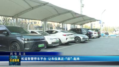 【民生关注】松滋智慧停车平台 让车位真正“活”起来（20250120）