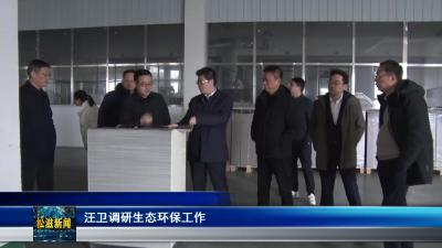 汪卫调研生态环保工作（20250224）